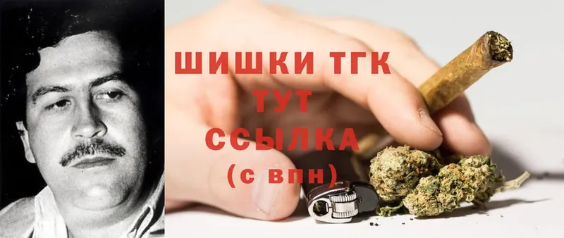 Каннабис SATIVA & INDICA  купить закладку  Туринск 